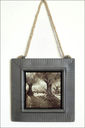 Robin Davis Photography Image printed on metal and framed in tin - image is from her favorite magical olive grove near Cortona Italy and all effects are done totally in camera with infrared sensor